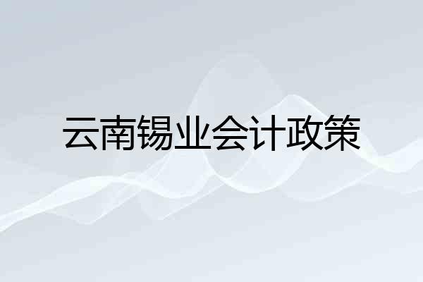 云南锡业会计政策