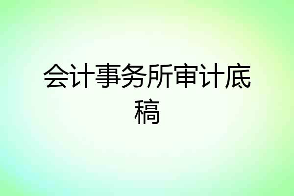 会计事务所审计底稿