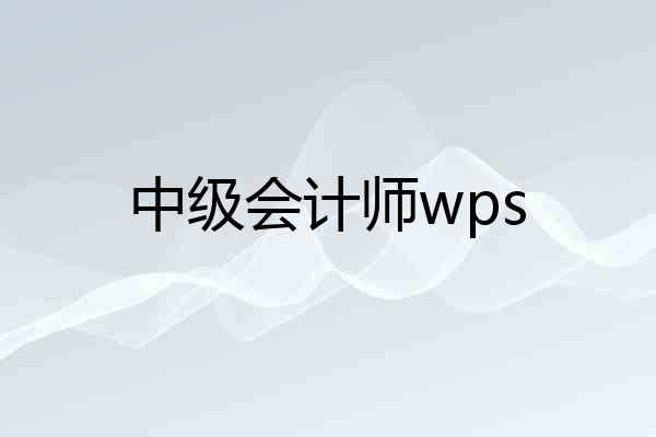 中级会计师wps