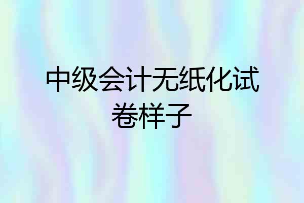 中级会计无纸化试卷样子