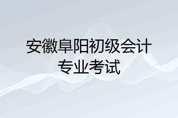 安徽阜阳初级会计专业考试
