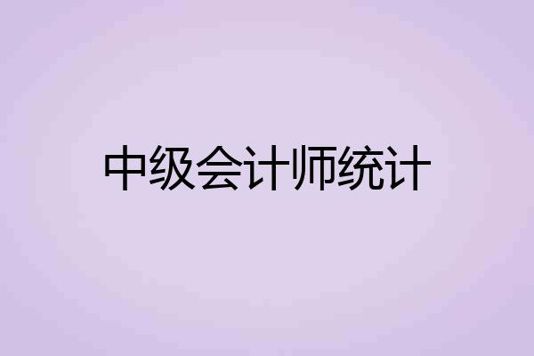 中级会计师统计
