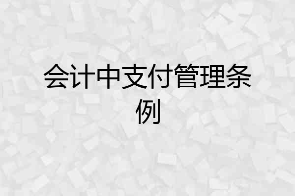 会计中支付管理条例