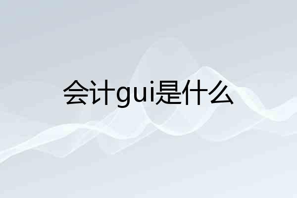 会计gui是什么
