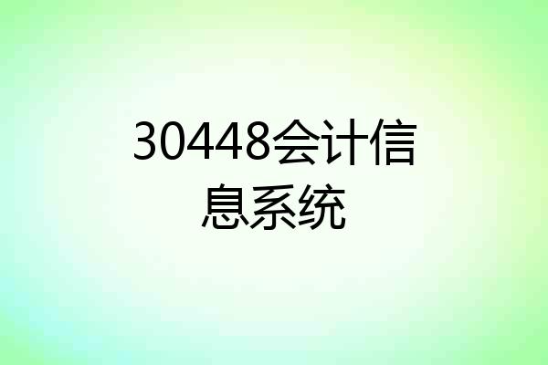 30448会计信息系统