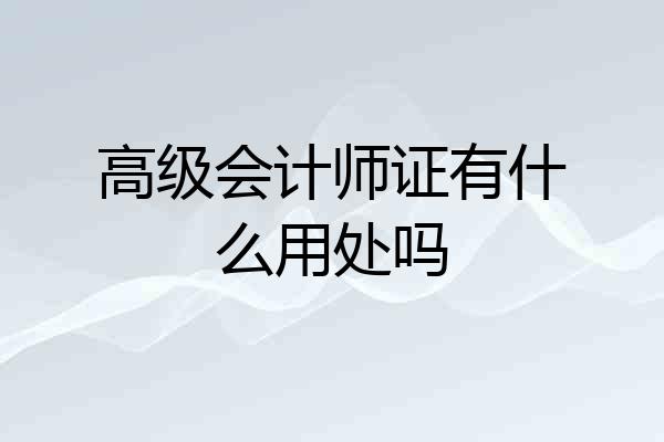 高级会计师证有什么用处吗