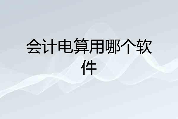 会计电算用哪个软件