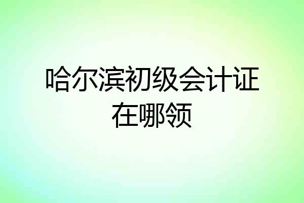 哈尔滨初级会计证在哪领