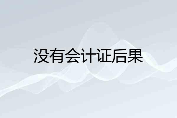 没有会计证后果