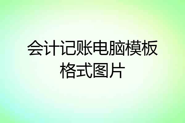会计记账电脑模板格式图片