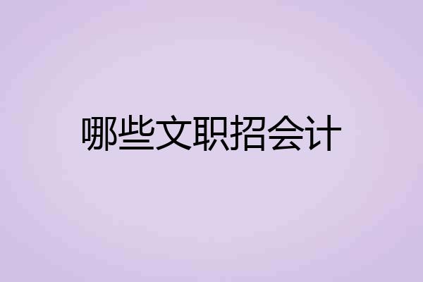 哪些文职招会计