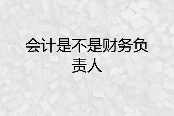 会计是不是财务负责人