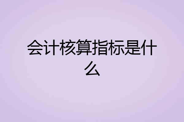 会计核算指标是什么
