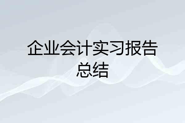 企业会计实习报告总结