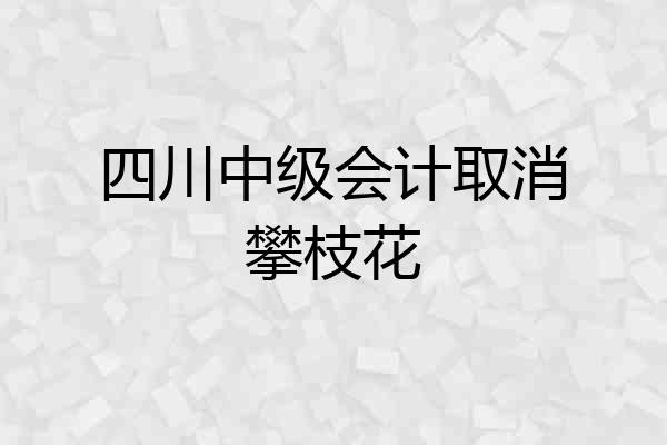 四川中级会计取消攀枝花