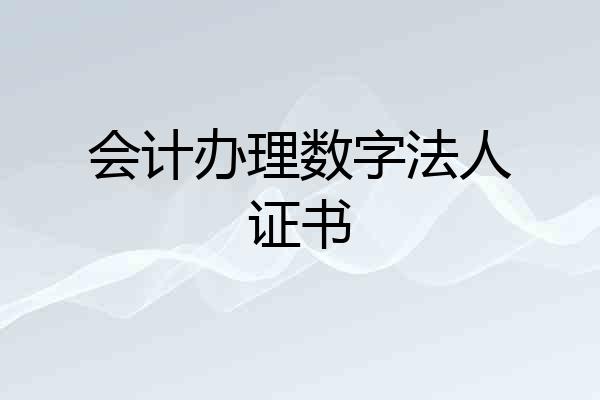 会计办理数字法人证书
