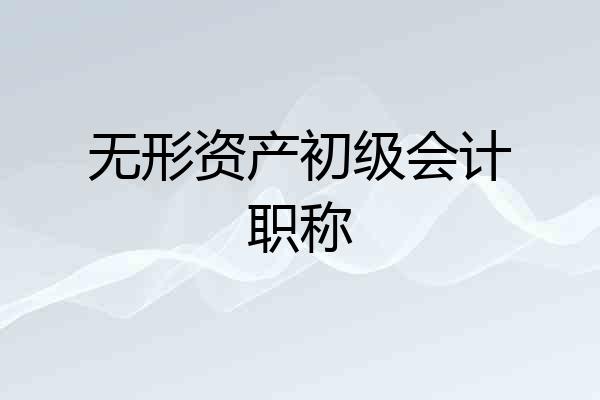 无形资产初级会计职称
