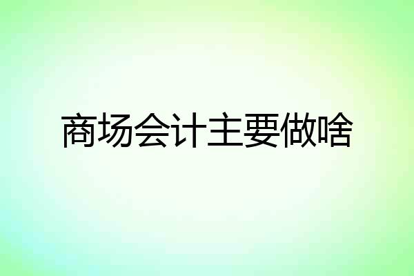 商场会计主要做啥
