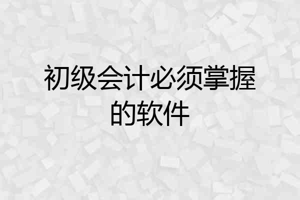 初级会计必须掌握的软件