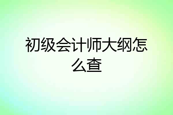 初级会计师大纲怎么查