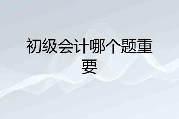 初级会计哪个题重要