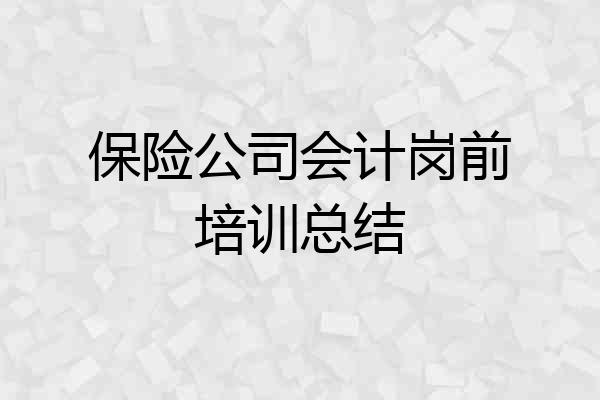 保险公司会计岗前培训总结