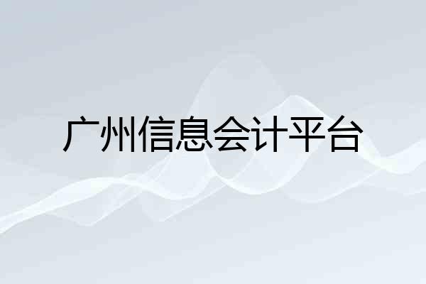 广州信息会计平台