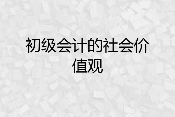 初级会计的社会价值观