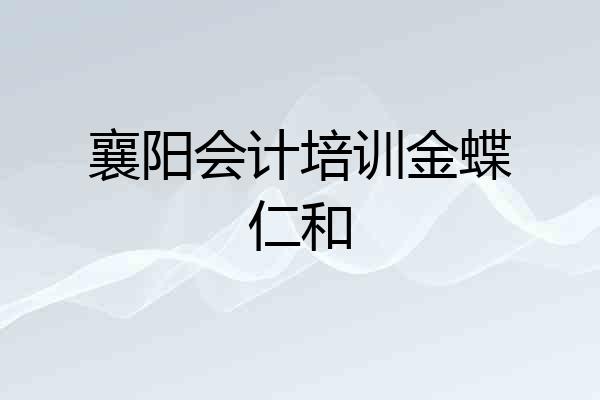 襄阳会计培训金蝶仁和