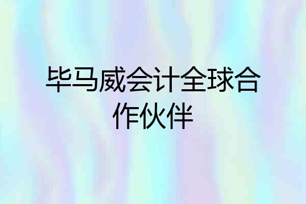 毕马威会计全球合作伙伴