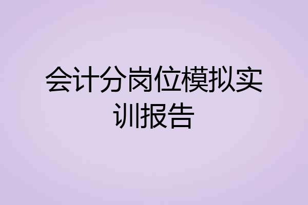 会计分岗位模拟实训报告