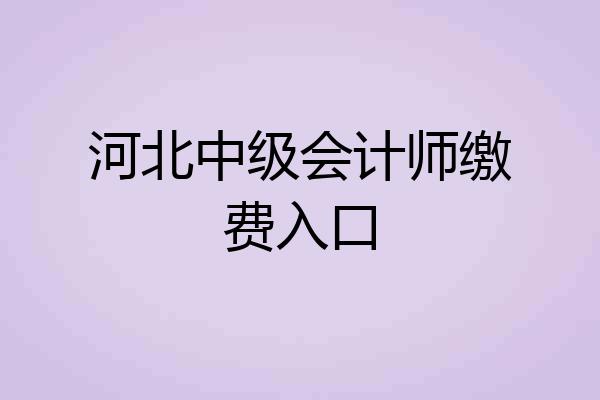 河北中级会计师缴费入口