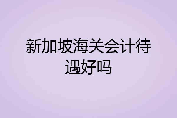 新加坡海关会计待遇好吗