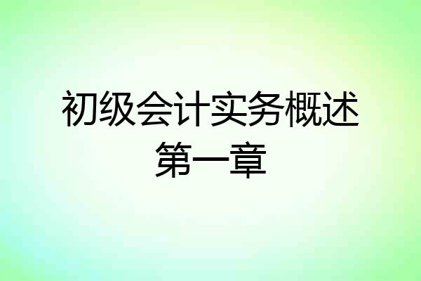 初级会计实务概述第一章