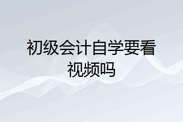 初级会计自学要看视频吗