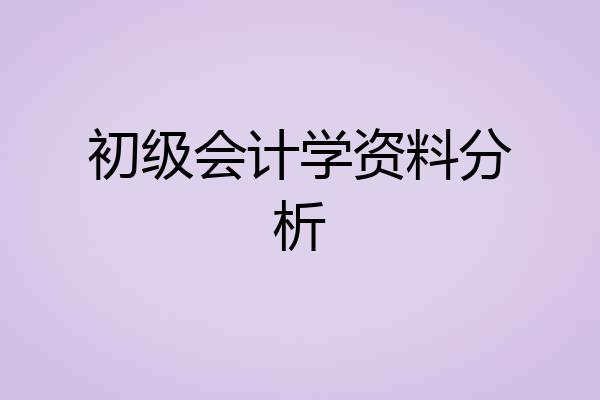 初级会计学资料分析