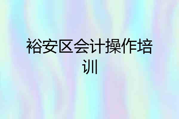 裕安区会计操作培训