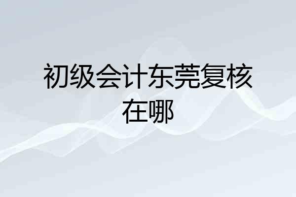 初级会计东莞复核在哪