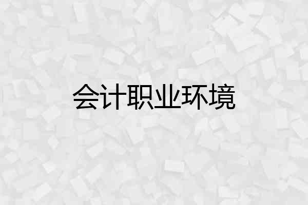 会计职业环境