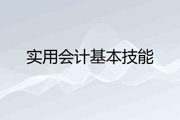实用会计基本技能