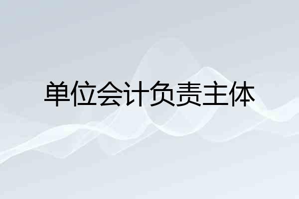 单位会计负责主体