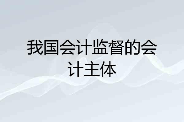 我国会计监督的会计主体