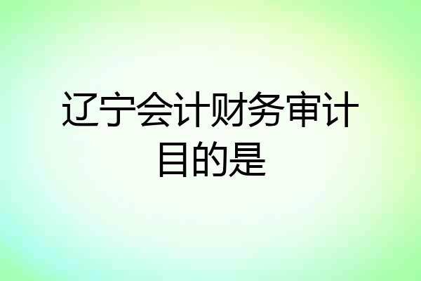 辽宁会计财务审计目的是