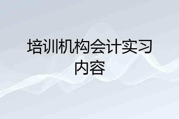 培训机构会计实习内容