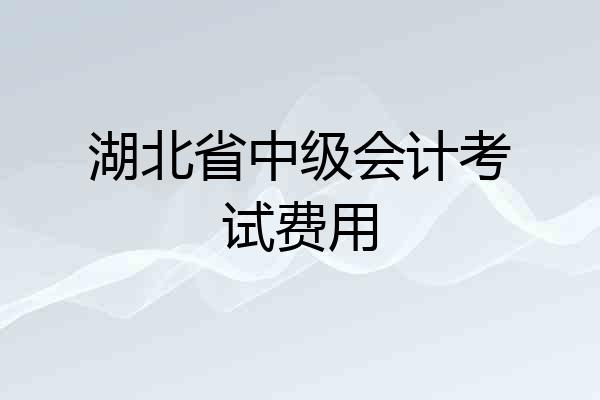 湖北省中级会计考试费用