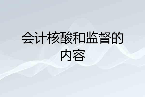 会计核酸和监督的内容