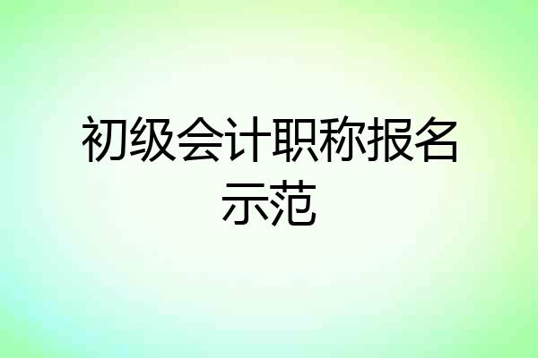 初级会计职称报名示范