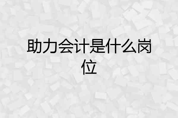 助力会计是什么岗位