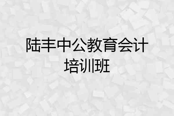陆丰中公教育会计培训班