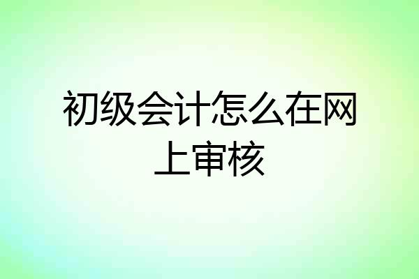 初级会计怎么在网上审核